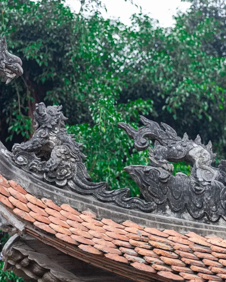 Hình ảnh tại Phan Thị Vệ 2